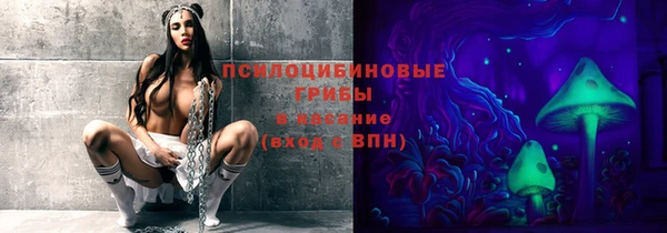 шишки Белокуриха