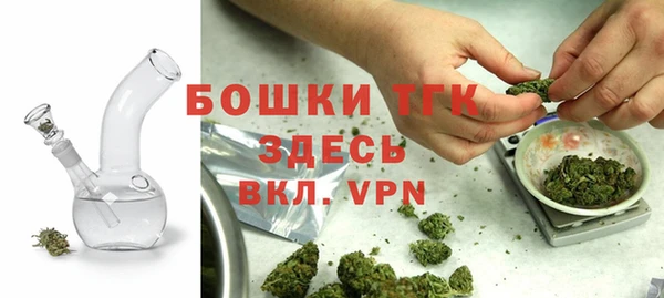 шишки Белокуриха