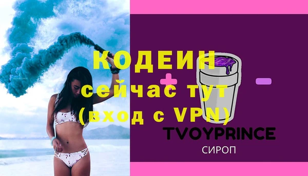 шишки Белокуриха