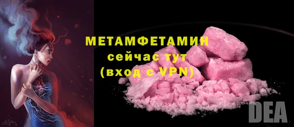 шишки Белокуриха