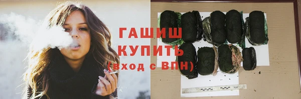 шишки Белокуриха