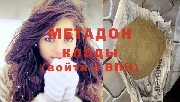 шишки Белокуриха
