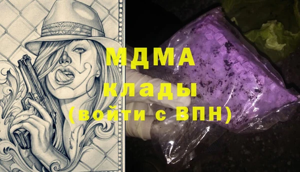 шишки Белокуриха