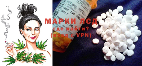 шишки Белокуриха