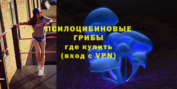 гидропоника Белоозёрский