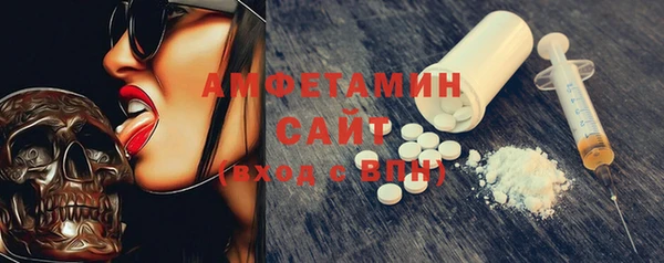шишки Белокуриха