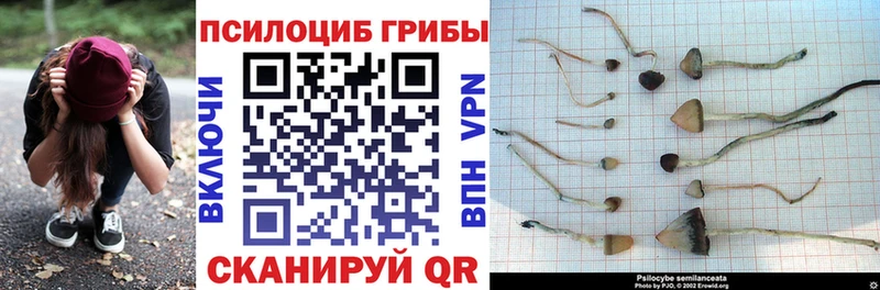 мега ССЫЛКА Ворсма Галлюциногенные грибы прущие грибы